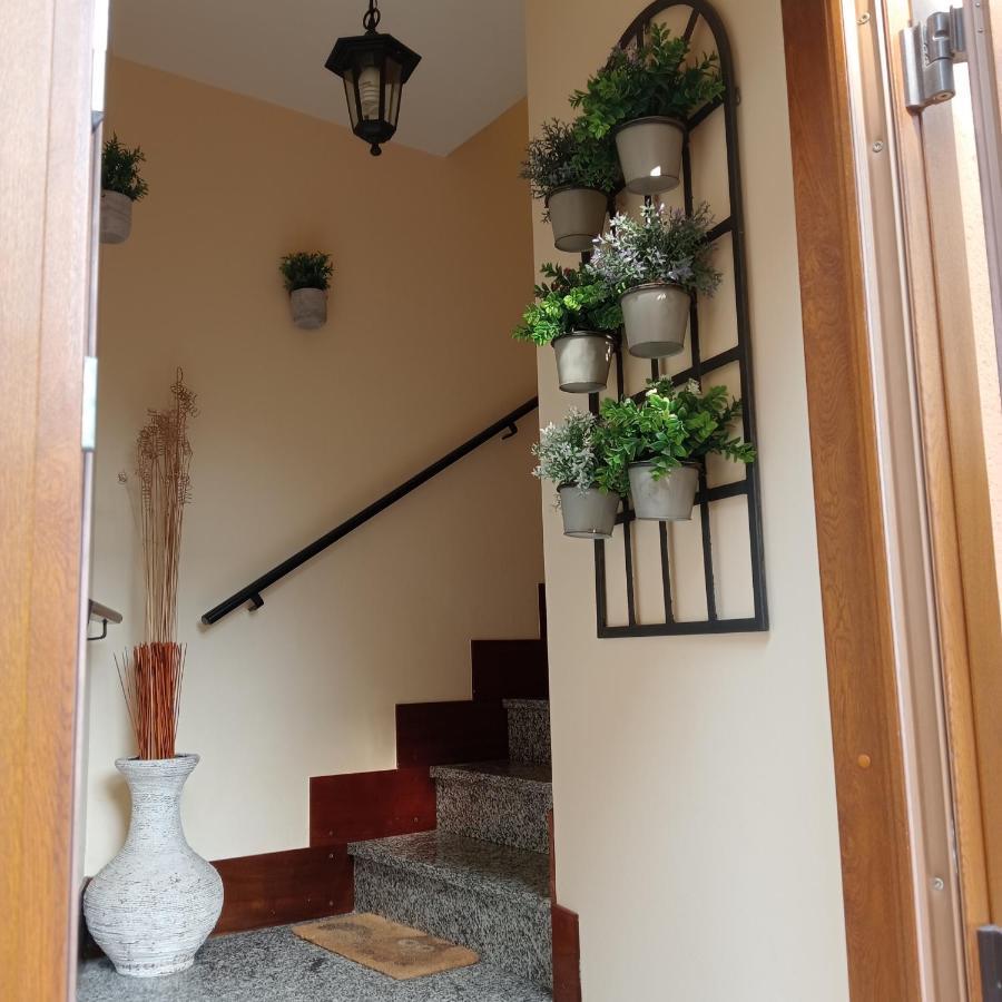 הוילה פטנאסקו Casa Di Dario מראה חיצוני תמונה